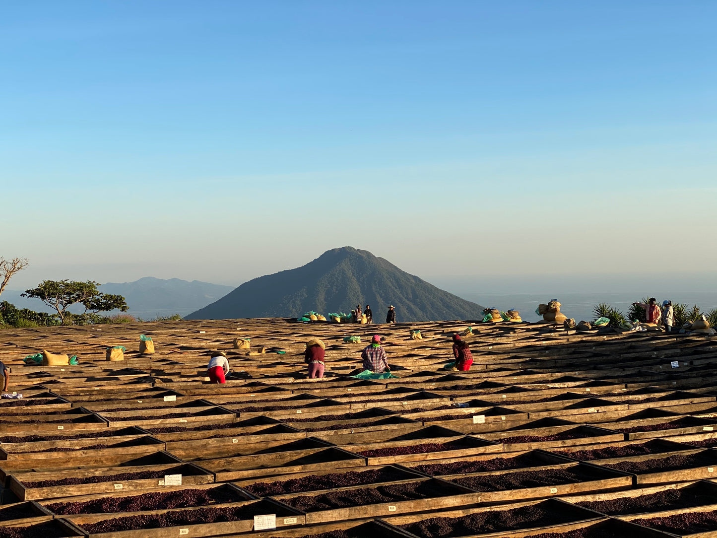 El Salvador Espresso