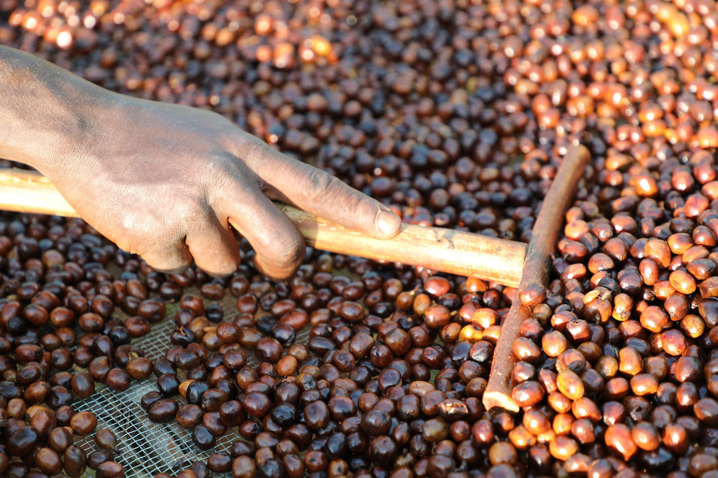 Natural Coffee