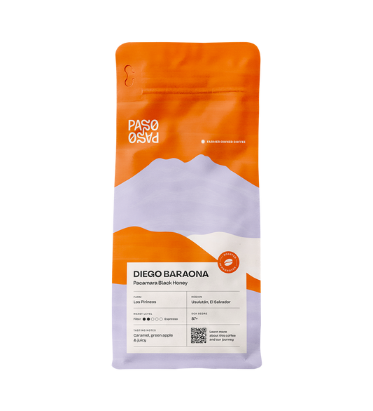 El Salvador - Diego Baraona - Pacamara Black Honey