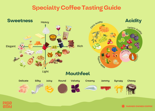 Specialty Coffee Tasting Guide - Print Edition (Pre-Order)