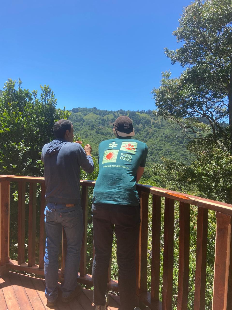 Paso Paso - Green T-Shirt