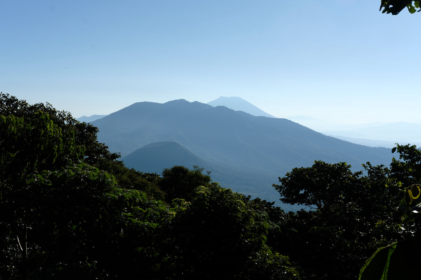 Filter Coffee - Diego Baraona - Pacamara Anaerobic Natural