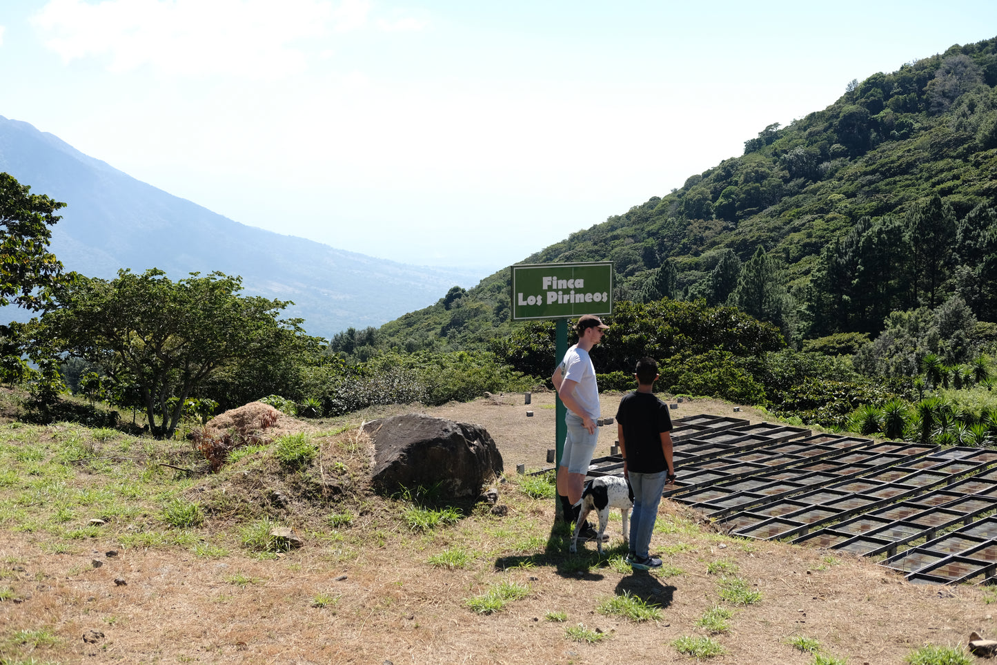 Filter Coffee - Diego Baraona - Pacamara Anaerobic Natural