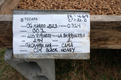 El Salvador - Diego Baraona - Pacamara Black Honey