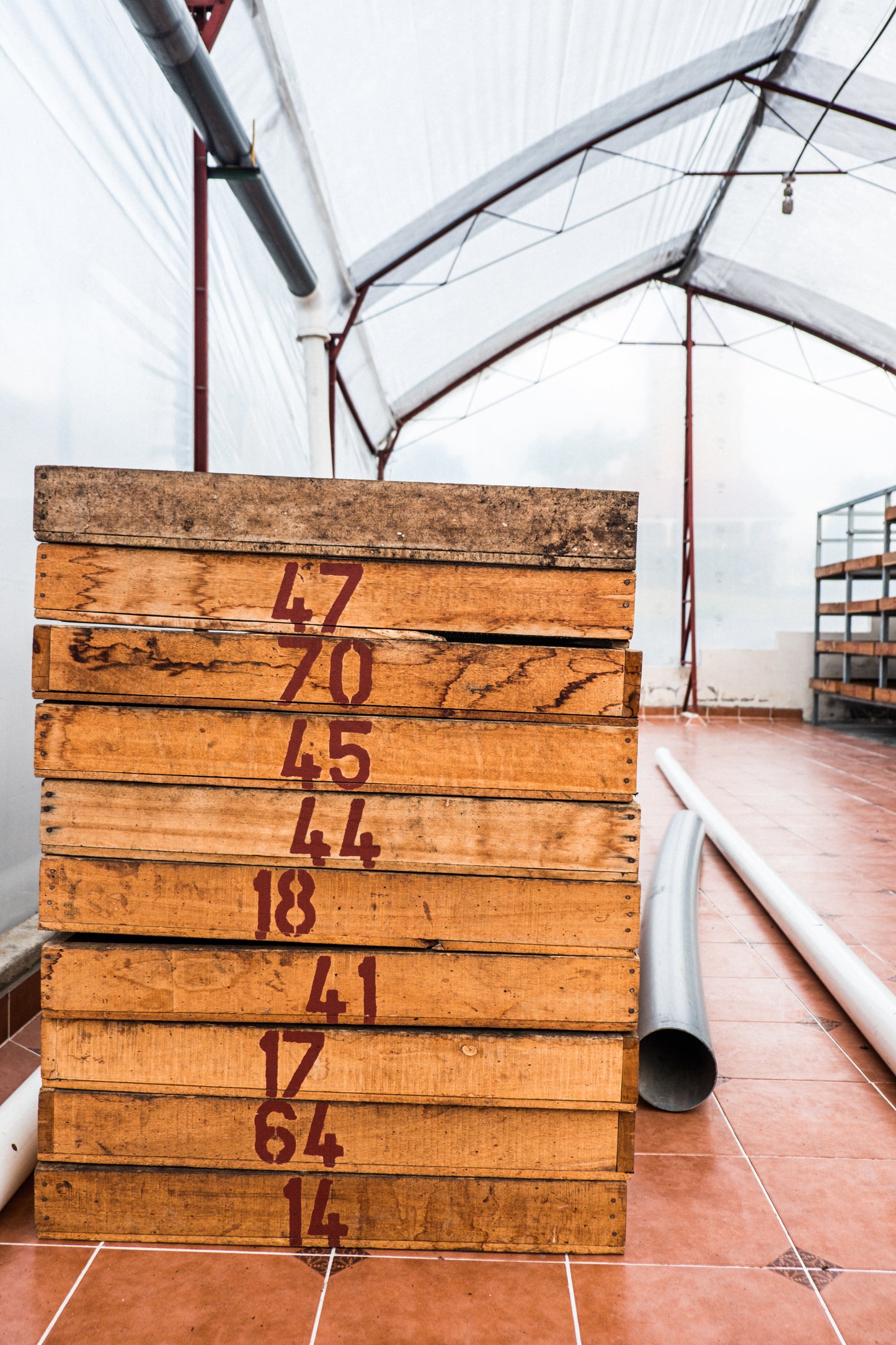 Weihnachtskaffee - Diego Robelo - Baba Budan Red Honey