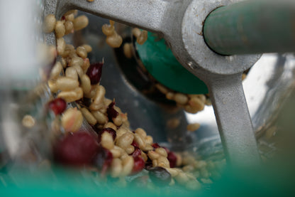 Honey Process