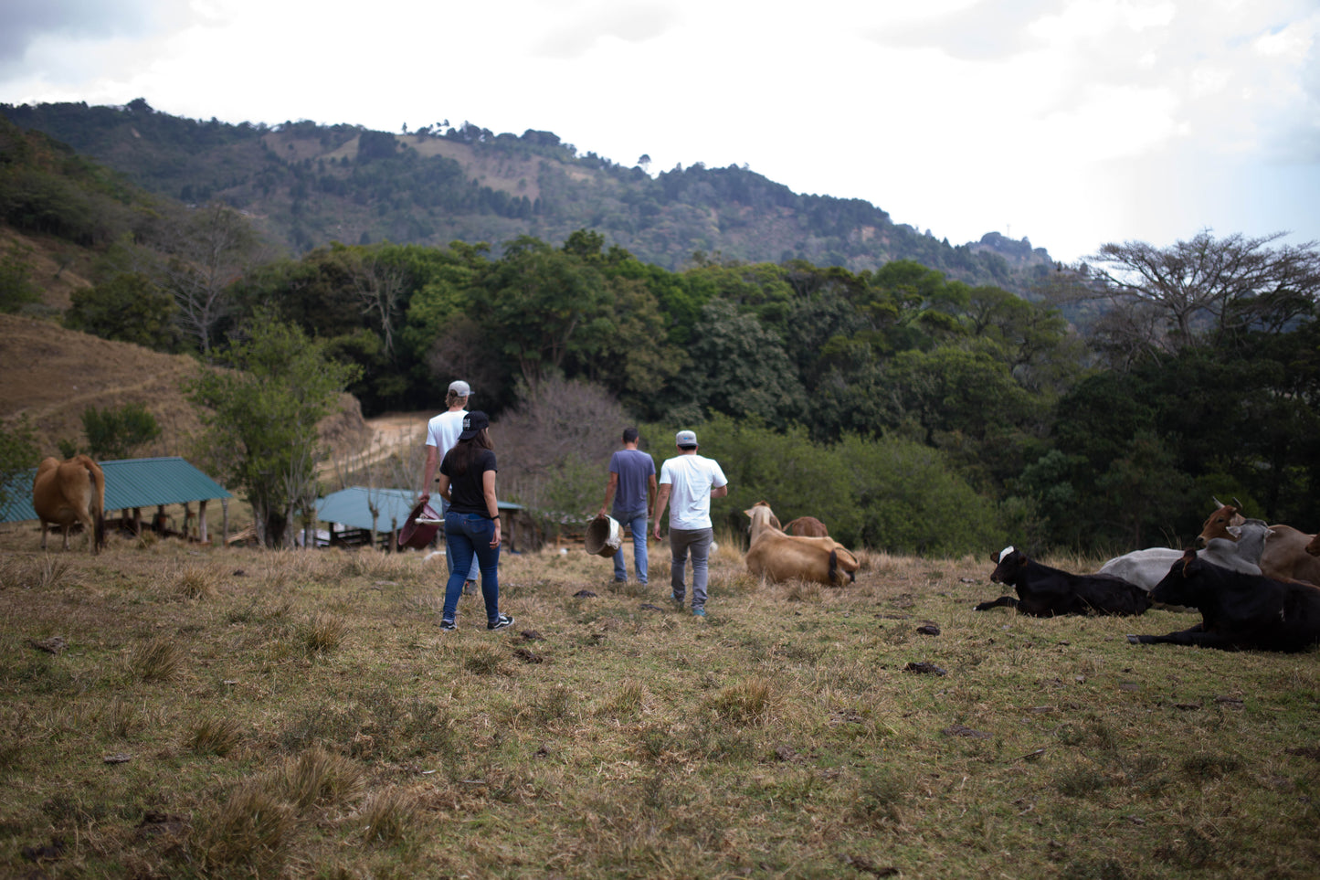 Costa Rica – Jorge Vásquez – Catuai Washed