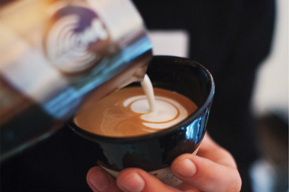Barista-Kurs: Einführung in Specialty Coffee & Espresso