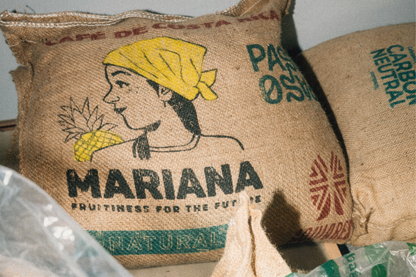 Barista-Kurs: Einführung in Specialty Coffee & Espresso
