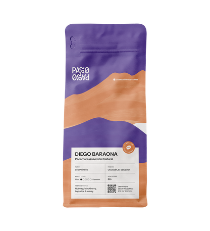 Filter Coffee - Diego Baraona - Pacamara Anaerobic Natural
