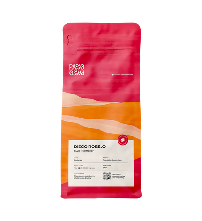 Filter Coffee - Diego Robelo - SL28 Red Honey