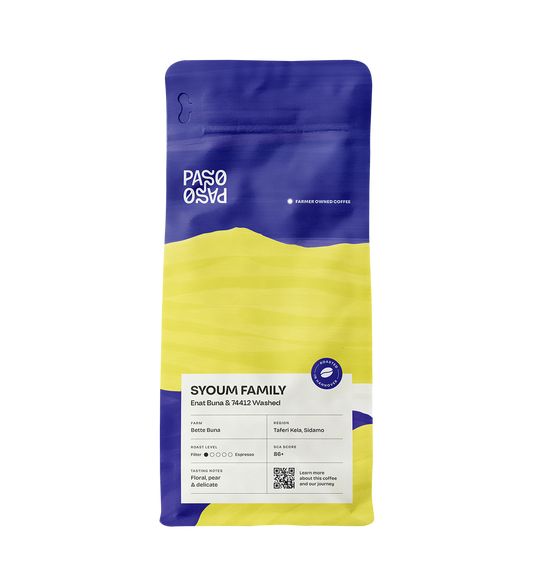 Ethiopia - Syoum Family - Heirloom Washed