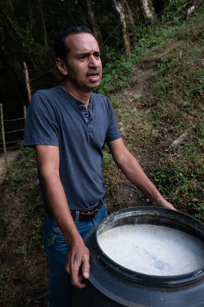 Costa Rica – Jorge Vásquez – Catuai Washed