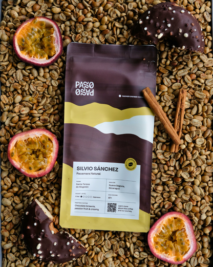 Filter Coffee - Silvio Sánchez - Pacamara Natural