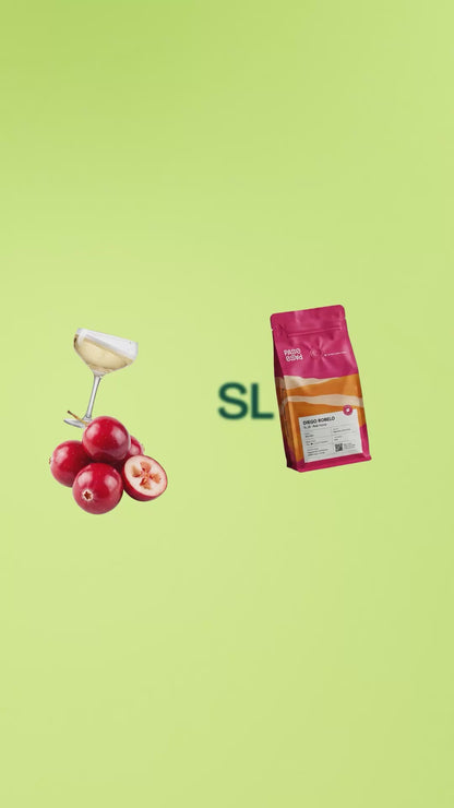 Filter Coffee - Diego Robelo - SL28 Red Honey